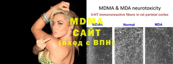 ГАЛЛЮЦИНОГЕННЫЕ ГРИБЫ Семёнов