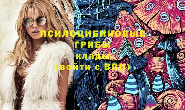 ГАЛЛЮЦИНОГЕННЫЕ ГРИБЫ Семёнов