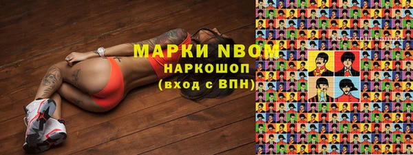ПСИЛОЦИБИНОВЫЕ ГРИБЫ Алзамай