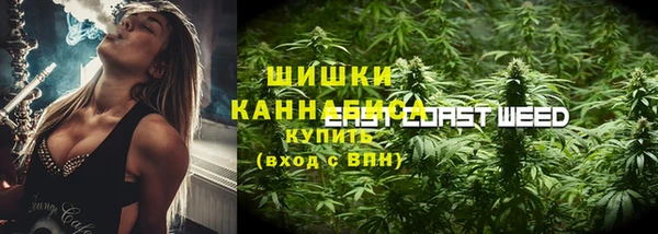 молекула духа Семилуки
