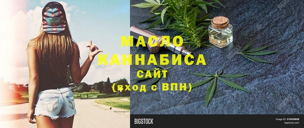 молекула духа Семилуки