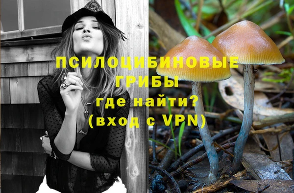 герыч Абаза