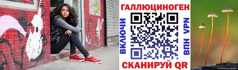 Псилоцибиновые грибы GOLDEN TEACHER кракен ТОР Каменск-Шахтинский