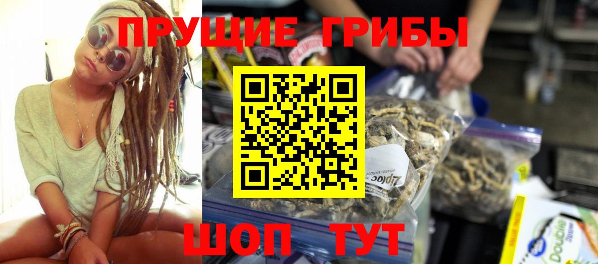 купить наркотик  Галлюциногенные грибы GOLDEN TEACHER  Вход с VPN  Каменск-Шахтинский 